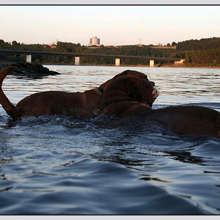 Bungalow Direkt Am Wasser Zeulenroda-Triebes Buitenkant foto